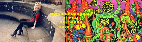 амф Нефтекумск