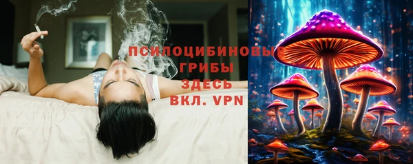 крисы Нея