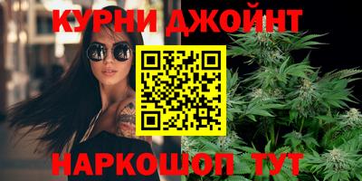 PSILOCYBIN Нальчик