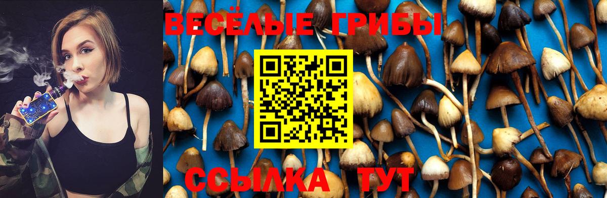 Саяногорск  Псилоцибиновые грибы GOLDEN TEACHER  продажа наркотиков  Вход с VPN 